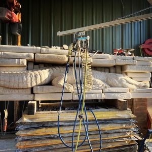 Frahm Reptilian Scholar in progress