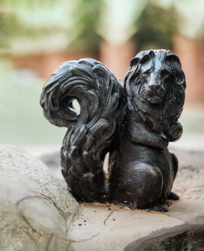 chimerical-squirlion-ugh