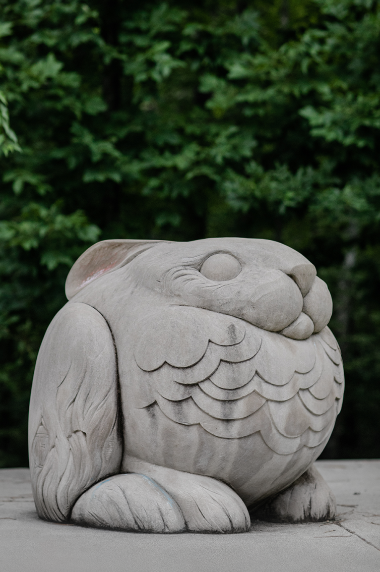 grand-intimate-rabbit-a