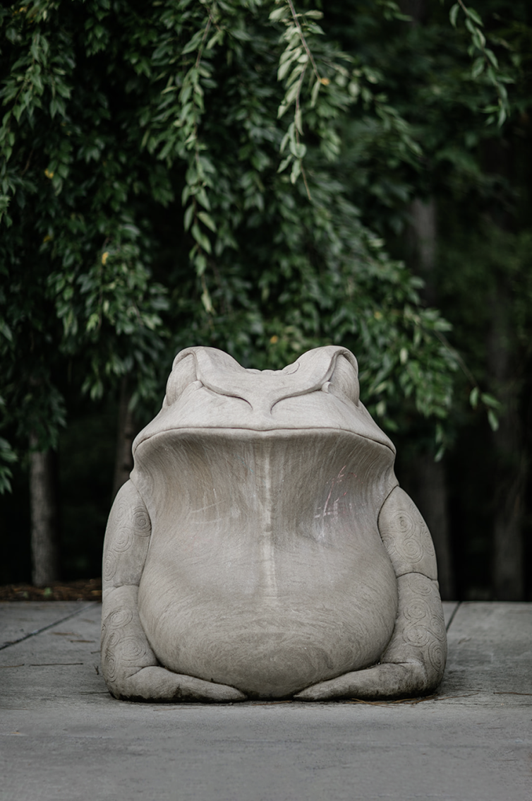 Toad from The Grand Intimate by Todd Frahm